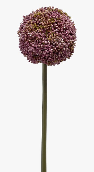 Künstliche Allium Blume mit kugelförmigem lila Blütenkopf und langem grünem Stiel.