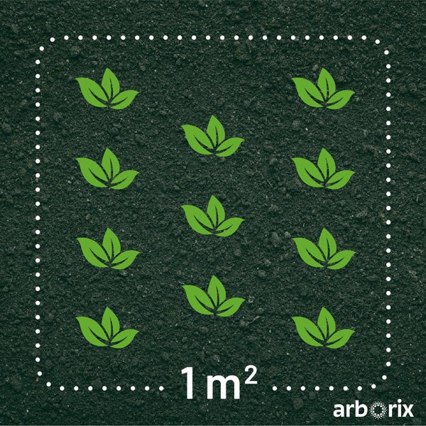 Pflanzenanordnung auf einem Quadratmeter Beetfläche