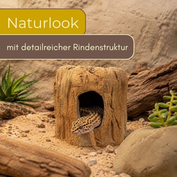 Terrarium-Versteck in Baumstamm-Optik mit detaillierter Rindenstruktur, ein Leopardgecko schaut aus der Öffnung, umgeben von Sand und Pflanzen.