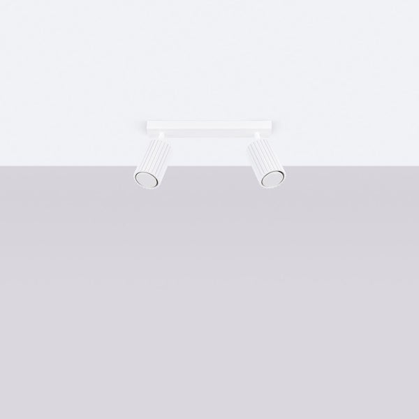 Deckenleuchte mit zwei Strahlern