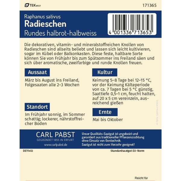 Radieschen fest & zweifarbig Rundes halbrot-halbweiss Samen von Pabst Keimkraft
