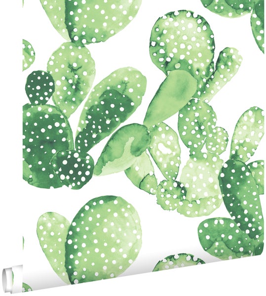 Tapete mit Kaktusmuster