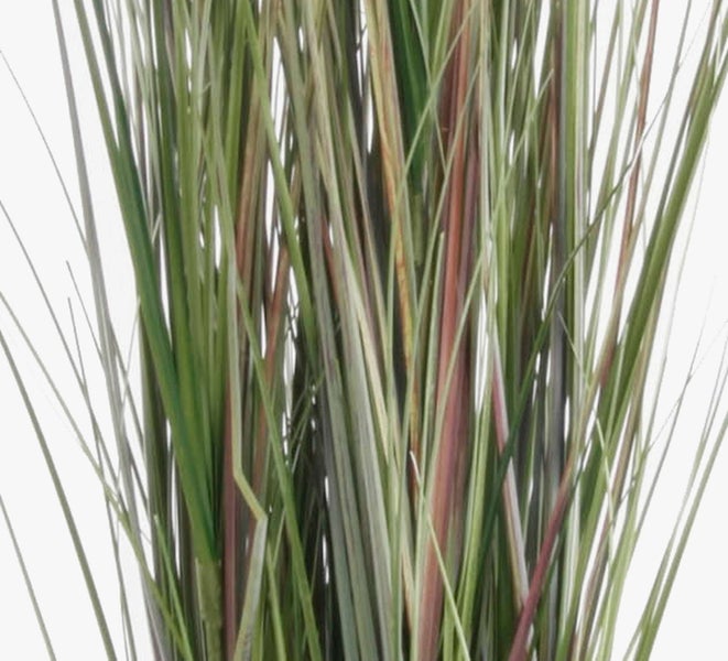 Künstliches Ziergras mit langen grünen und rötlichen Halmen.