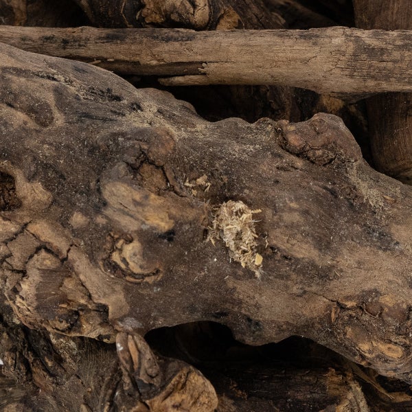 Nahaufnahme von natürlichem, verwittertem Deko-Holz mit organischer Textur und Astlöchern für Aquarien oder Terrarien.