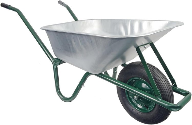 Nahaufnahme einer Tellerhortensie mit weißen Blüten