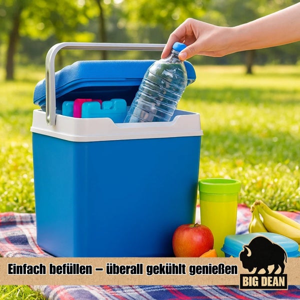 Gefüllte Kühlbox mit Getränken und Obst für ein Picknick im Freien