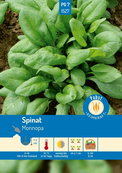 Samenbeutel für Baldrian von Deine Gartenwelt mit Anzuchtanleitung auf der Rückseite.