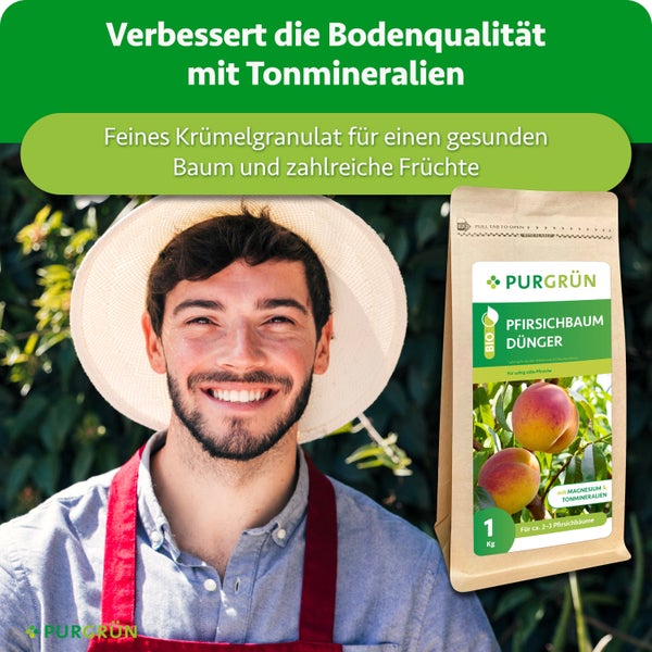 Ein Gärtner mit Hut neben einer Packung Purgrün Pfirsichbaum Dünger mit Tonmineralien für ein Kilogramm.