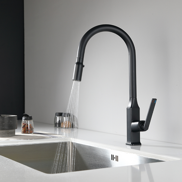 EcoRain 30% Wassersparender Küchenarmatur Lucas mit ausziehbarem Auslauf aus Edelstahl RVS 304 und Messing - Universeller Anschluss - Anti-Kratz-Beschichtung - Erhält Wasserdruck - Schwarz
