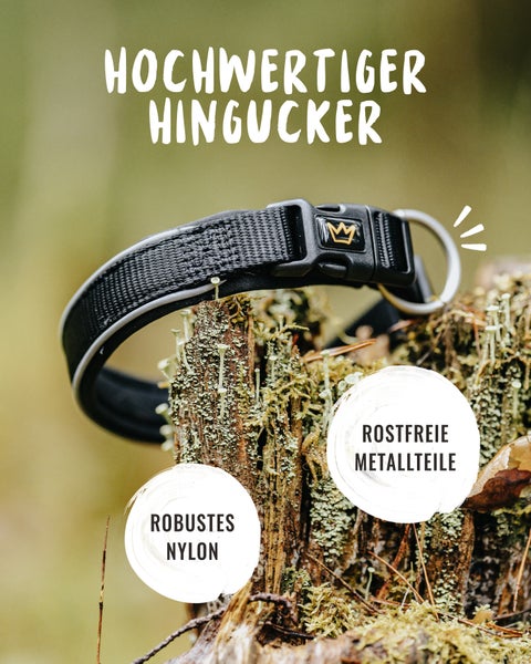 Hundehalsband aus robustem Nylon mit rostfreien Metallteilen