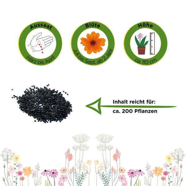 Stauden-Schleierkraut weiß Samen von Deine Gartenwelt
