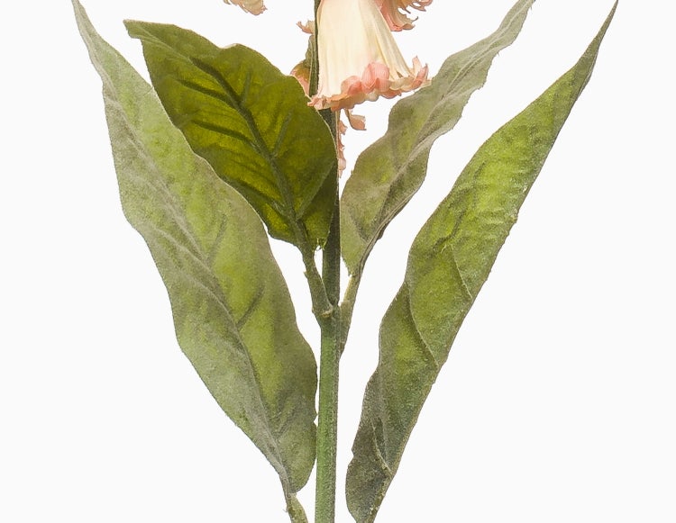 Künstliche Pflanze mit grünen Blättern und hellen Blüten mit rosa gewelltem Rand.