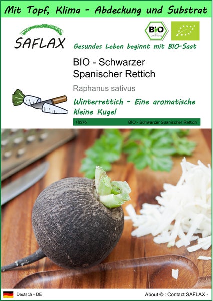 SAFLAX Garden to go - BIO - Schwarzer Spanischer Rettich - Raphanus sativus - 100 Samen - Mit Topf, Klima - Deckel und Anzuchtsubstrat