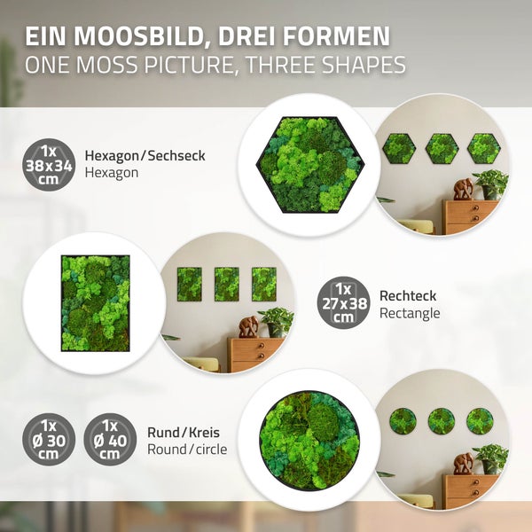 Wandbild aus konserviertem Moos in drei verschiedenen Formen: sechseckig, rechteckig und rund, mit den entsprechenden Abmessungen für die Wandmontage.