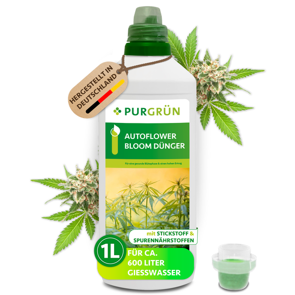 Purgrün Autoflower Bloom Dünger 1 Liter Flasche für die Blütephase von Cannabispflanzen mit Messbecher.