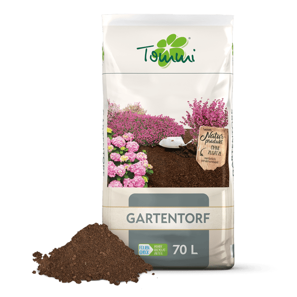 Boden mit Sternmoos bedeckt