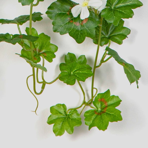 Künstliche Hängegeranie mit grünen Blättern und weißen Blüten