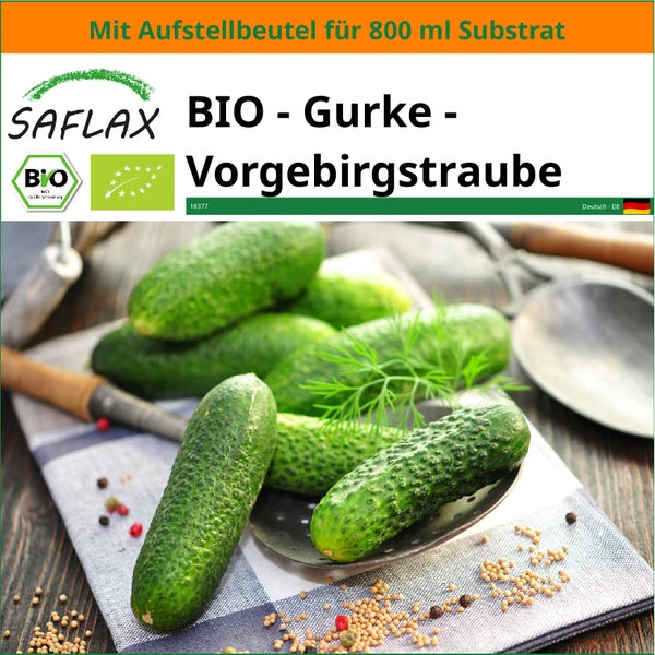 SAFLAX Garden in the bag - BIO - Gurke - Vorgebirgstraube - Cucumis sativus - 15 Samen - Mit Anzuchtsubstrat im praktischen, selbst aufstellenden Beutel