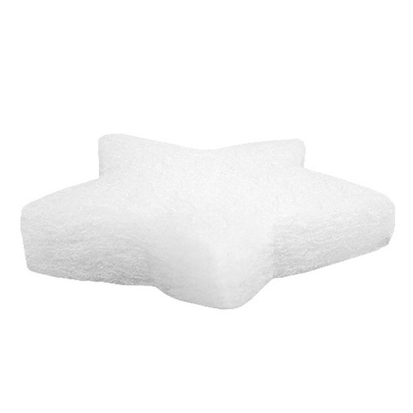 Sternförmiger Bimsstein