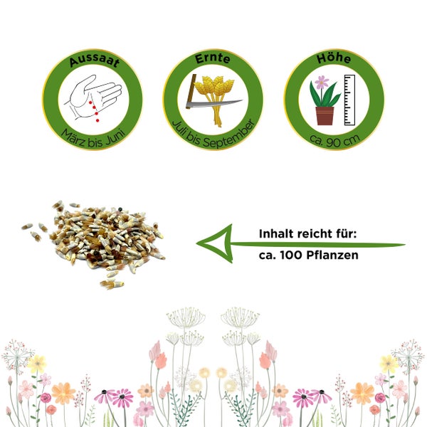 Aussaat von März bis Juni, Ernte von Juli bis September, Wuchshöhe circa 90 Zentimeter, Inhalt für circa 100 Pflanzen, Blumensamen.
