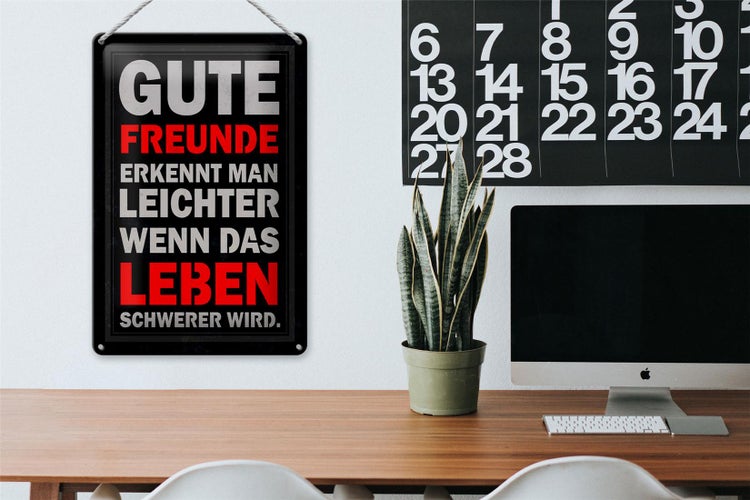 Blechschild Spruch 20x30cm gute Freunde erkennt man