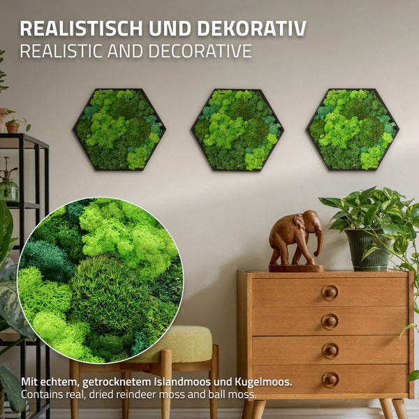 Drei sechseckige Wandbilder mit echtem, getrocknetem Islandmoos und Kugelmoos in einer modernen Inneneinrichtung.