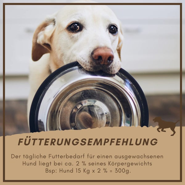 Heller Labrador mit leerem Hundenapf mit Fütterungsempfehlung
