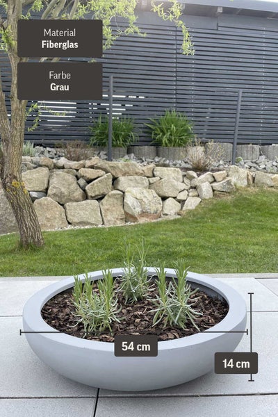 Runde Pflanzschale aus Fiberglas in Grau, Durchmesser 54 Zentimeter, Höhe 14 Zentimeter, bepflanzt auf einer Terrasse im Garten.