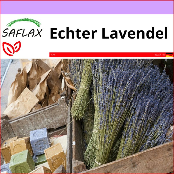 SAFLAX  - Echter Lavendel - Lavandula angustifolia - 150 Samen