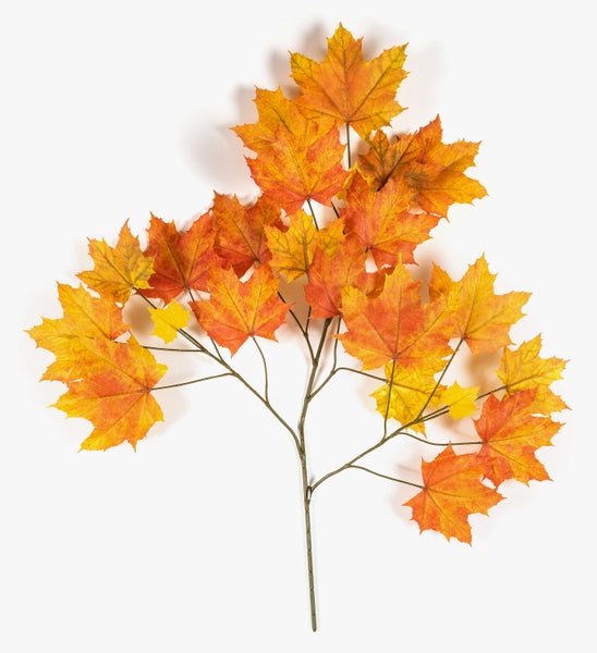 Künstlicher Ahornzweig mit gelben und orangen Herbstblättern.