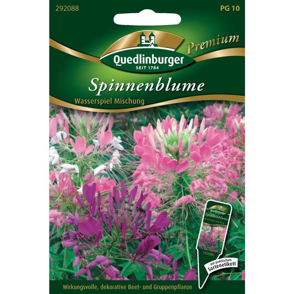 Spinnenblume Wasserspiel Mischung Samen von Quedlinburger SAATGUT