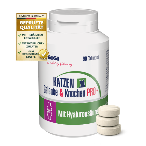 GIGI Katzen Gelenke und Knochen PRO Plus Nahrungsergänzungsmittel, 90 Tabletten mit Hyaluronsäure zur Unterstützung von Gelenken und Knochen.