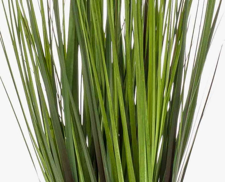 Nahaufnahme von künstlichen grünen Grashalmen als Dekopflanze.