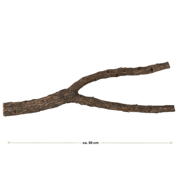 Naturkork-Ast in Y-Form für Terrarien und Vögel, Länge circa 50 Zentimeter.