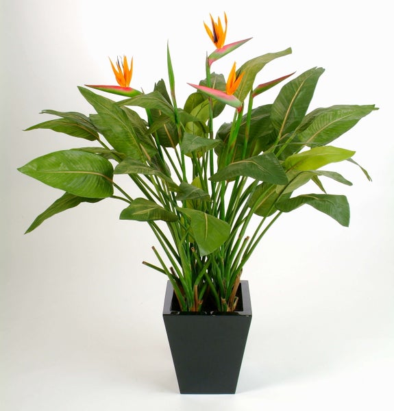 Künstliche Strelitzie mit großen grünen Blättern und drei orangefarbenen Blüten in einem schwarzen quadratischen Übertopf.