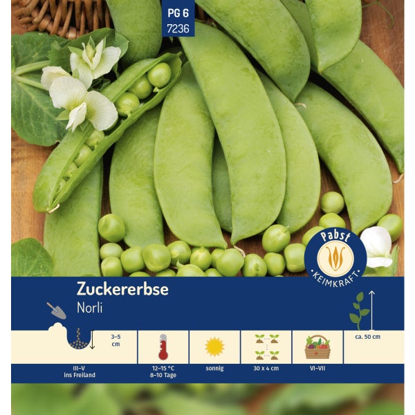 Zuckererbse früh & zart Norli Samen von Pabst Keimkraft