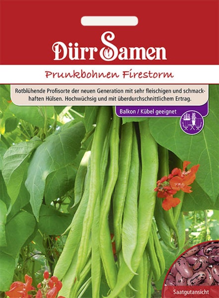 Dürr Samen Logo auf Samentüte für Prunkbohnen Firestorm mit Abbildung von grünen Hülsen, roten Blüten, Saatgut und Eignungssymbol für Balkon und Kübel.