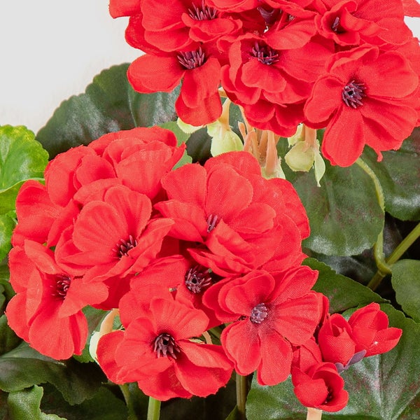 Künstliche Geranie mit roten Blüten und grünen Blättern.