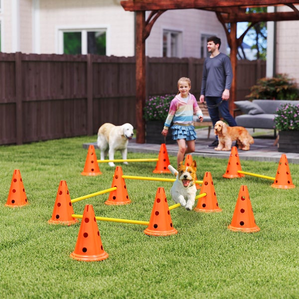 Sechser-Set Agility-Hürden für Hunde mit zwölf Kegeln und zwölf Stangen
