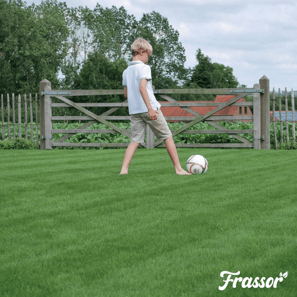 Junge spielt Fußball auf Rasenfläche vor Holzzaun