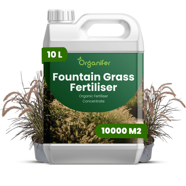 Organifer Bio-Dünger-Konzentrat für Lampenputzergras, 10 Liter Kanister für 10000 Quadratmeter Fläche.