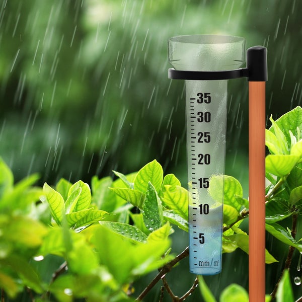 Regenmesser im Garten während eines Regenschauers.