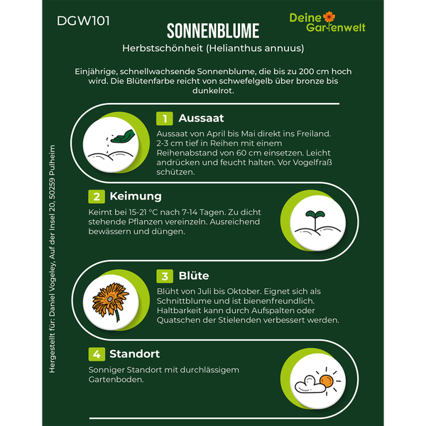 Infografik für Sonnenblume Herbstschönheit (Helianthus annuus) mit Deine Gartenwelt Logo, Informationen zu Aussaat, Keimung, Blüte und Standort.