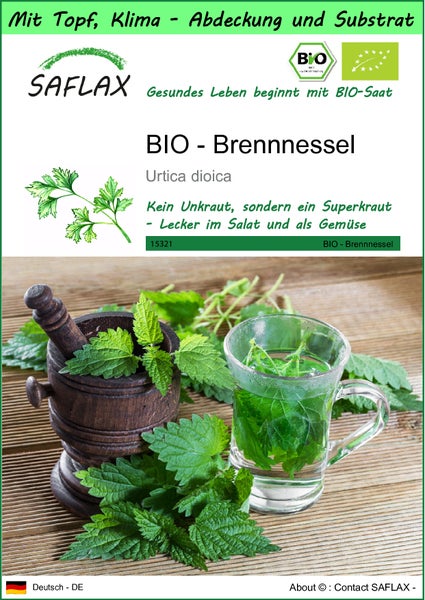 SAFLAX Garden to go - BIO - Brennnessel - Urtica dioica - 2000 Samen - Mit Topf, Klima - Deckel und Anzuchtsubstrat