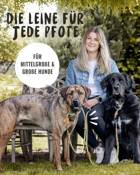 Frau sitzt mit zwei Hunden auf einer Bank, die Hunde sind mit Hundeleinen ausgestattet