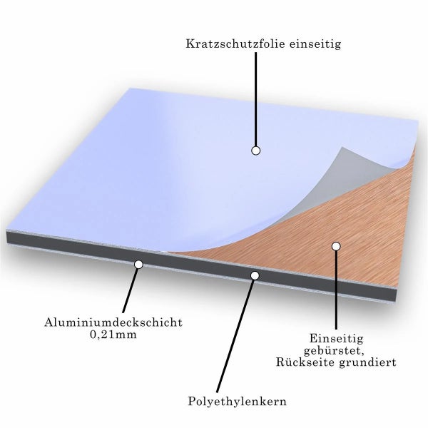 Querschnitt einer Aluminiumverbundplatte mit einseitiger Schutzfolie, Aluminiumdeckschicht, Polyethylenkern und gebürsteter Rückseite.