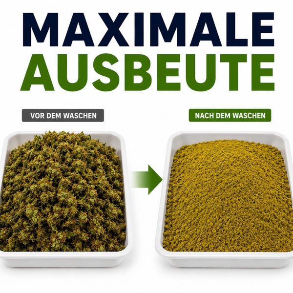 Vorher-Nachher-Vergleich von organischem Material nach dem Waschen für maximale Ausbeute.