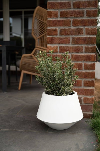 Moderner weißer Pflanzkübel in konischer Form mit einer grün-weißen Pflanze auf einer Terrasse neben einer Ziegelmauer.