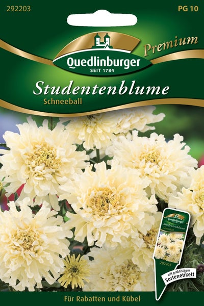 Samentüte Quedlinburger Studentenblume Schneeball, Premium-Saatgut für Rabatten und Kübel mit Sortenetikett.