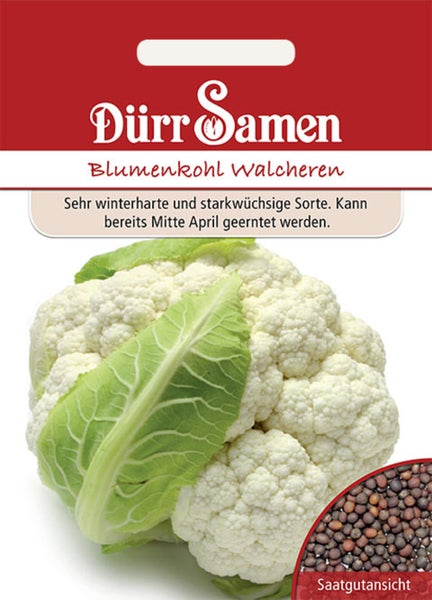 Dürr Samen Logo auf einer Samentüte für weißen Blumenkohl Walcheren mit Detailansicht der braunen Samen.